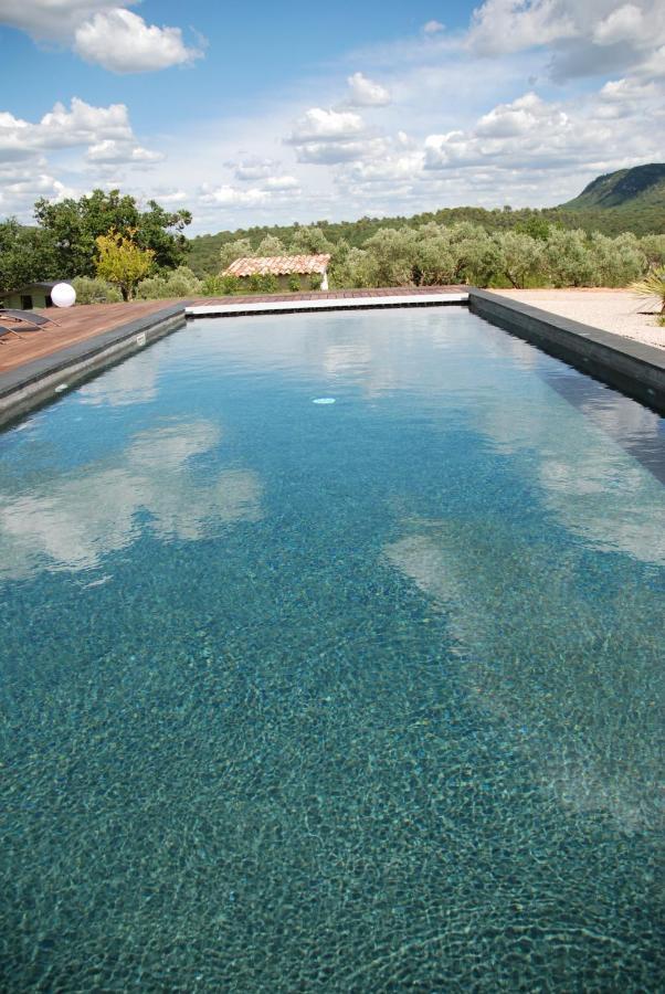 Villa Otilia-Bed And Breakfast-Chambres D'Hotes En Provence Rians  Exterior photo
