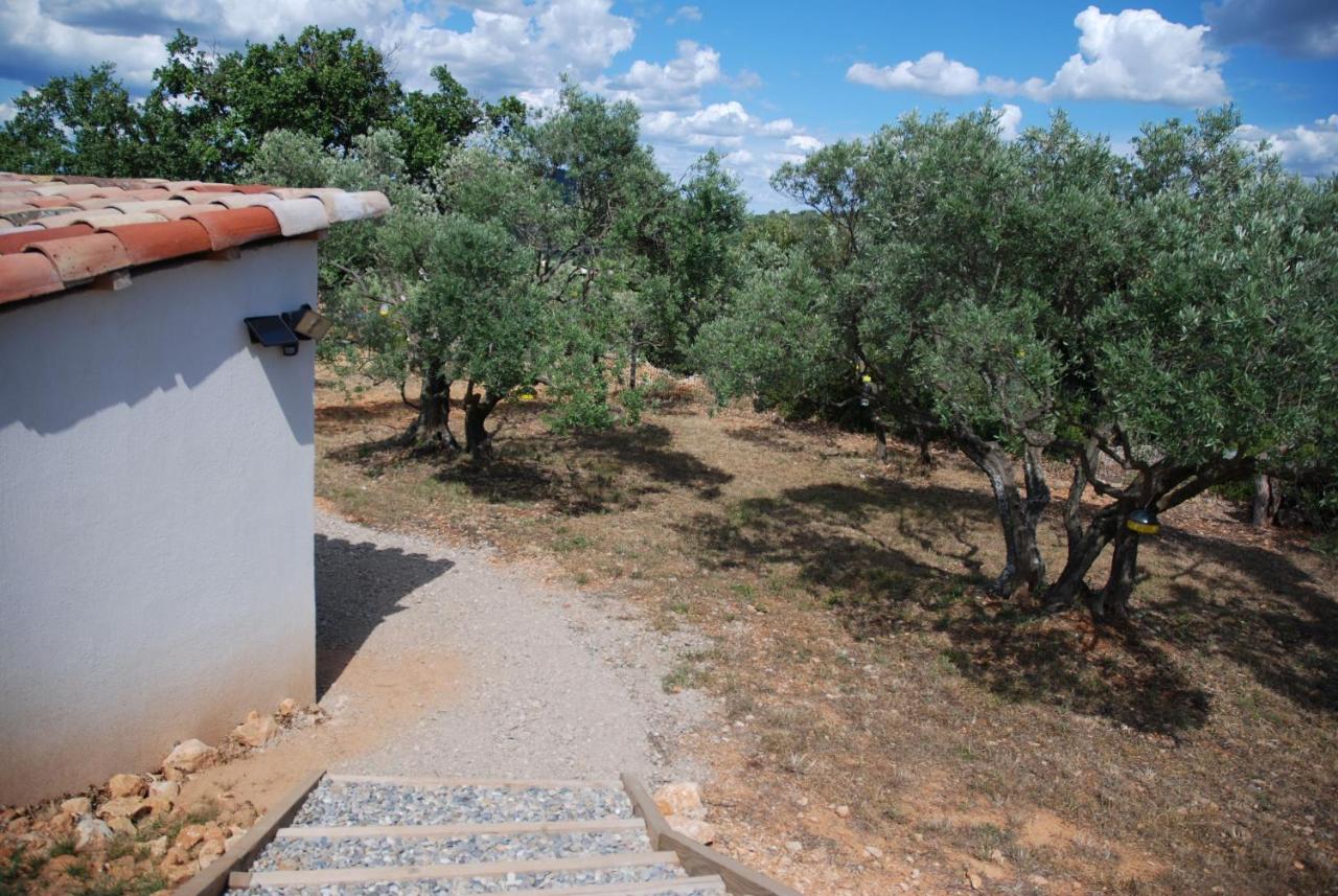 Villa Otilia-Bed And Breakfast-Chambres D'Hotes En Provence Rians  Exterior photo